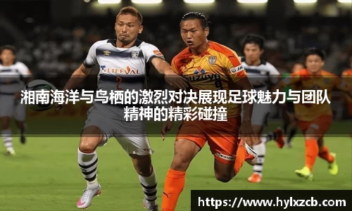 bwin必赢唯一官方网站