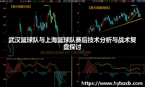 武汉篮球队与上海篮球队赛后技术分析与战术复盘探讨