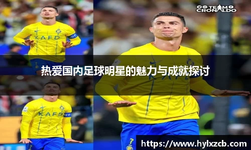 热爱国内足球明星的魅力与成就探讨